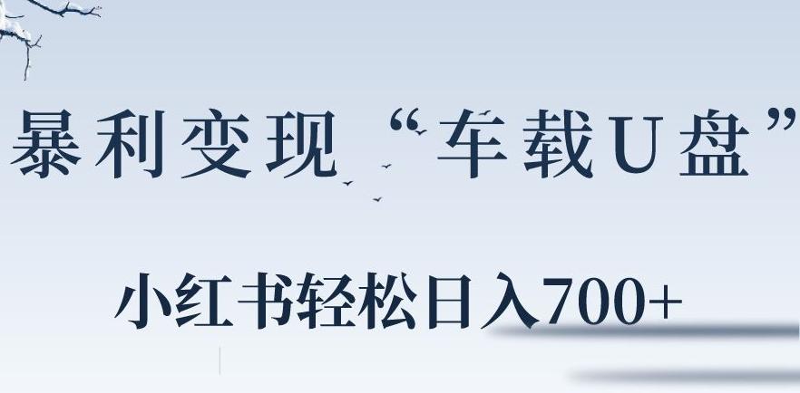 小红书“车载U盘”暴利引流，日入700+-昀创网