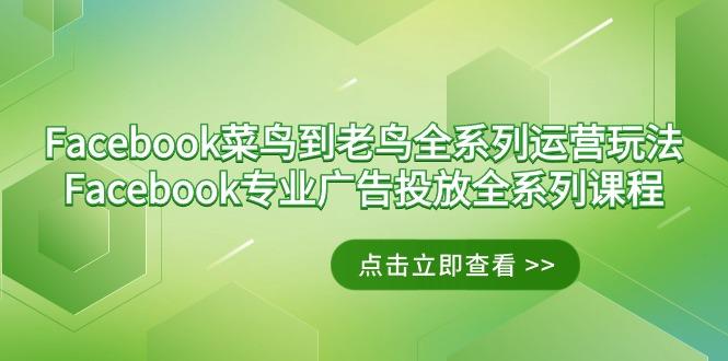 Facebook-菜鸟到老鸟全系列运营玩法+Facebook-专业广告投放全系列课程-昀创网