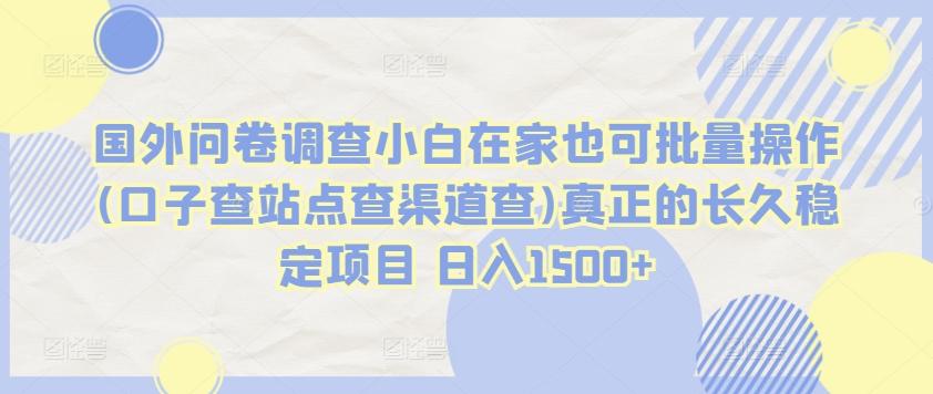 国外问卷调查小白在家也可批量操作(口子查站点查渠道查)真正的长久稳定项目 日入1500+【揭秘】-昀创网