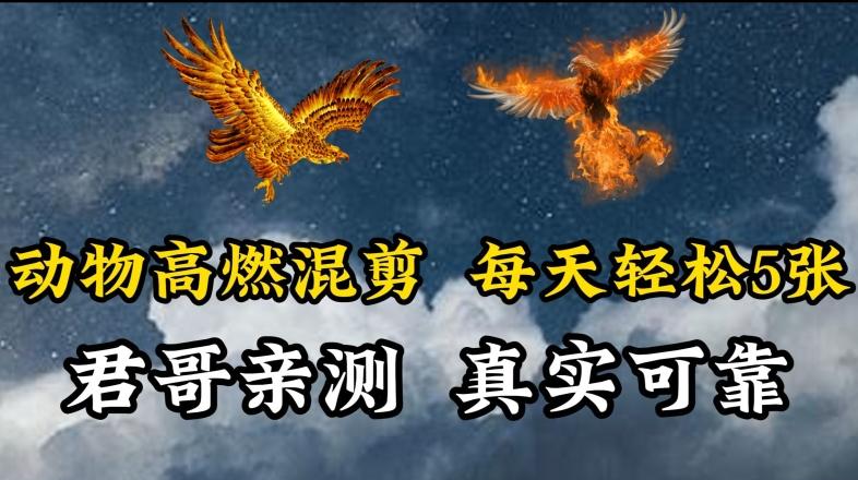 动物超燃混剪，每天轻松5张，剪辑简单大家爱看【揭秘】-昀创网