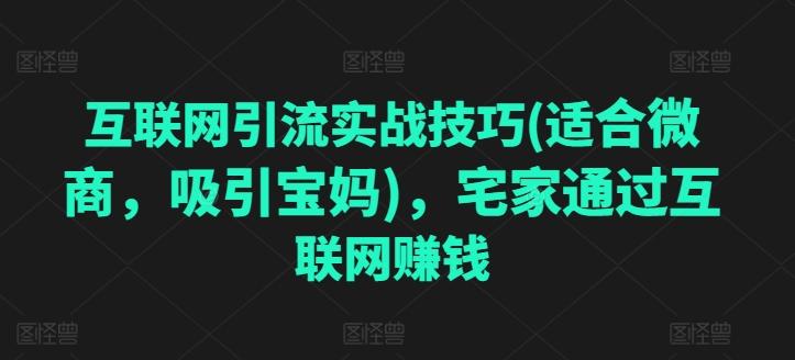 互联网引流实战技巧(适合微商，吸引宝妈)，宅家通过互联网赚钱-昀创网