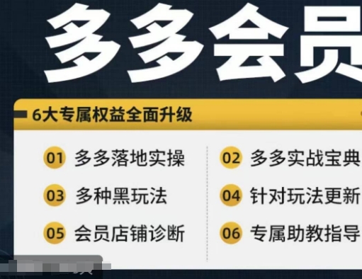 拼多多会员，拼多多实战宝典+实战落地实操，从新手到高阶内容全面覆盖-昀创网