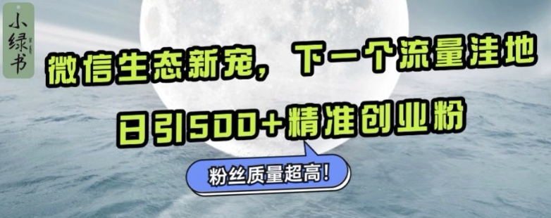 微信生态新宠小绿书：下一个流量洼地，日引500+精准创业粉，粉丝质量超高-昀创网