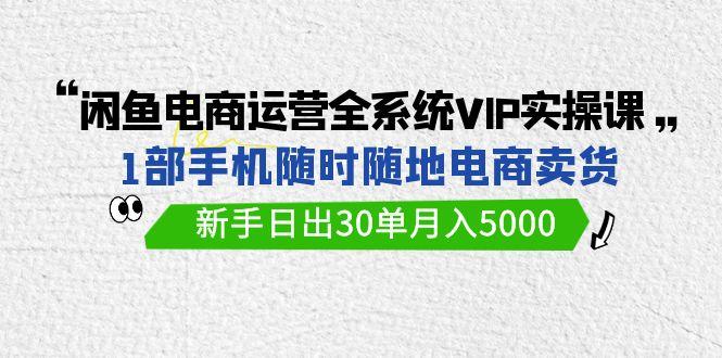 (9547期)闲鱼电商运营全系统VIP实战课，1部手机随时随地卖货，新手日出30单月入5000-昀创网