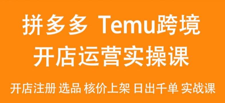 2024Temu最新玩法，Temu跨境开店运营实操课，开店注册/选品/核价上架/日出千单实战课-昀创网