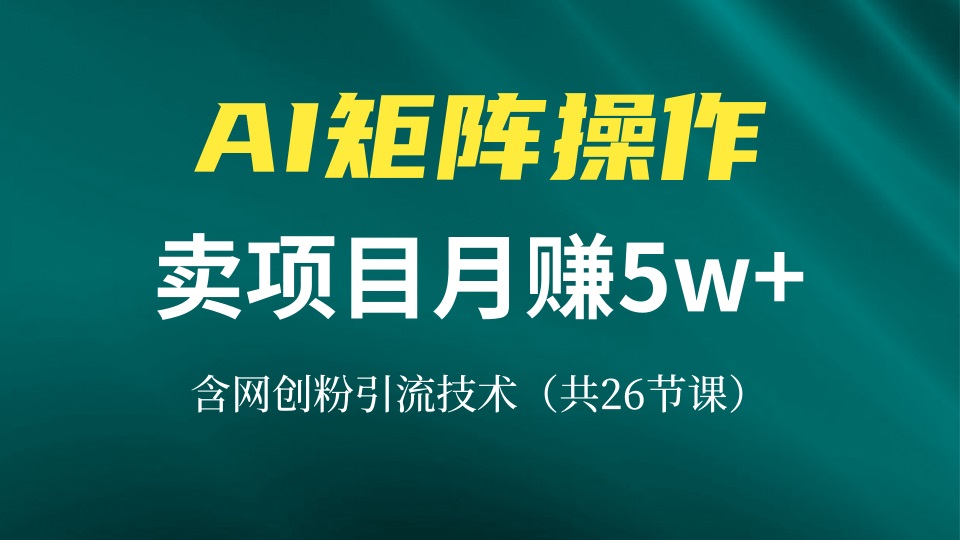 网创IP打造课，借助AI卖项目月赚5万+，含引流技术(共26节课-昀创网