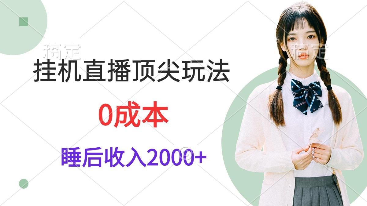 (9715期)挂机直播顶尖玩法，睡后日收入2000+、0成本，视频教学-昀创网