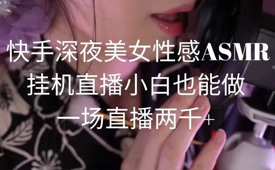 快手深夜美女性感ASMR挂机直播，小白也能做，一场直播两千+-昀创网