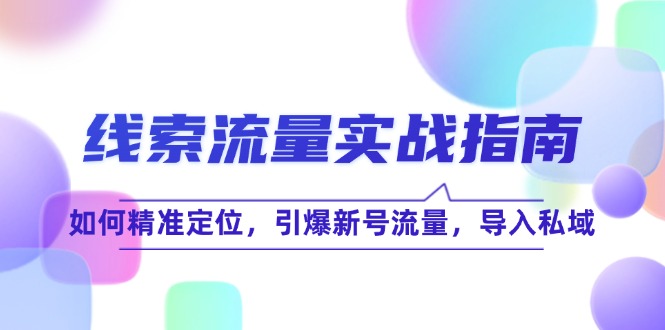 线 索 流 量-实战指南：如何精准定位，引爆新号流量，导入私域-昀创网