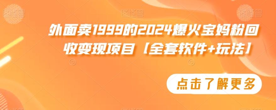 外面卖1999的2024爆火宝妈粉回收变现项目【全套软件+玩法】【揭秘】-昀创网