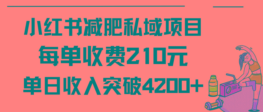 (9466期)小红书减肥私域项目每单收费210元单日成交20单，最高日入4200+-昀创网