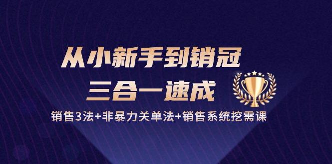 从小新手到销冠 三合一速成：销售3法+非暴力关单法+销售系统挖需课 (27节-昀创网