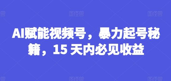 AI赋能视频号，暴力起号秘籍，15 天内必见收益【揭秘】-昀创网