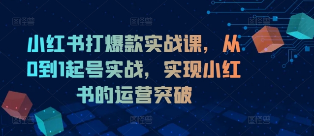 小红书打爆款实战课，从0到1起号实战，实现小红书的运营突破-昀创网