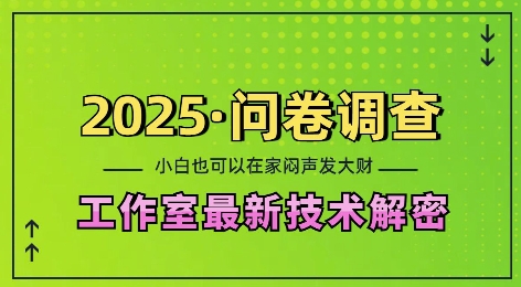 2025问卷调查最新工作室技术解密：一个人在家也可以闷声发大财，小白一天2张，可矩阵放大【揭秘】-昀创网