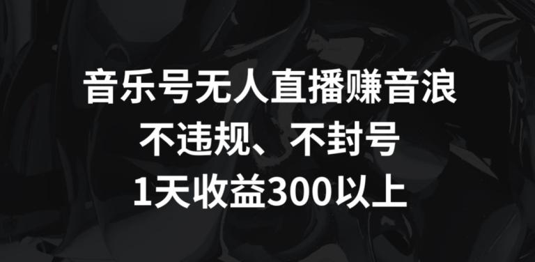 音乐号无人直播赚音浪，不违规、不封号，1天收益300+【揭秘】-昀创网