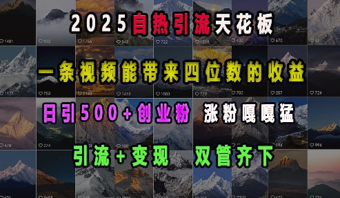 2025自热引流天花板，一条视频能带来四位数的收益，引流+变现双管齐下，日引500+创业粉，涨粉嘎嘎猛-昀创网