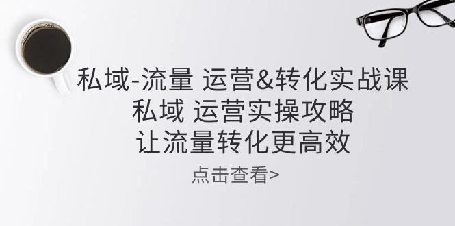 私域-流量 运营&转化实操课：私域 运营实操攻略 让流量转化更高效-昀创网