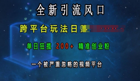 全新引流风口，跨平台玩法日入上k，单日狂揽200+精准创业粉，一个被严重忽略的视频平台-昀创网