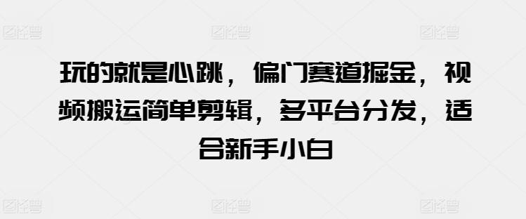 玩的就是心跳，偏门赛道掘金，视频搬运简单剪辑，多平台分发，适合新手小白【揭秘】-昀创网