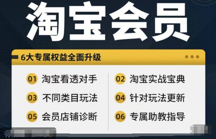 淘宝会员【淘宝所有课程，全面分析对手】，初级到高手全系实战宝典-昀创网