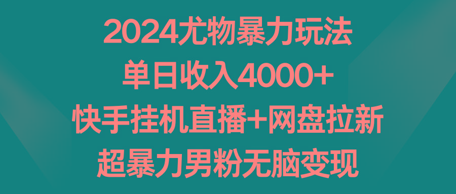 2024尤物暴力玩法 单日收入4000+快手挂机直播+网盘拉新 超暴力男粉无脑变现-昀创网