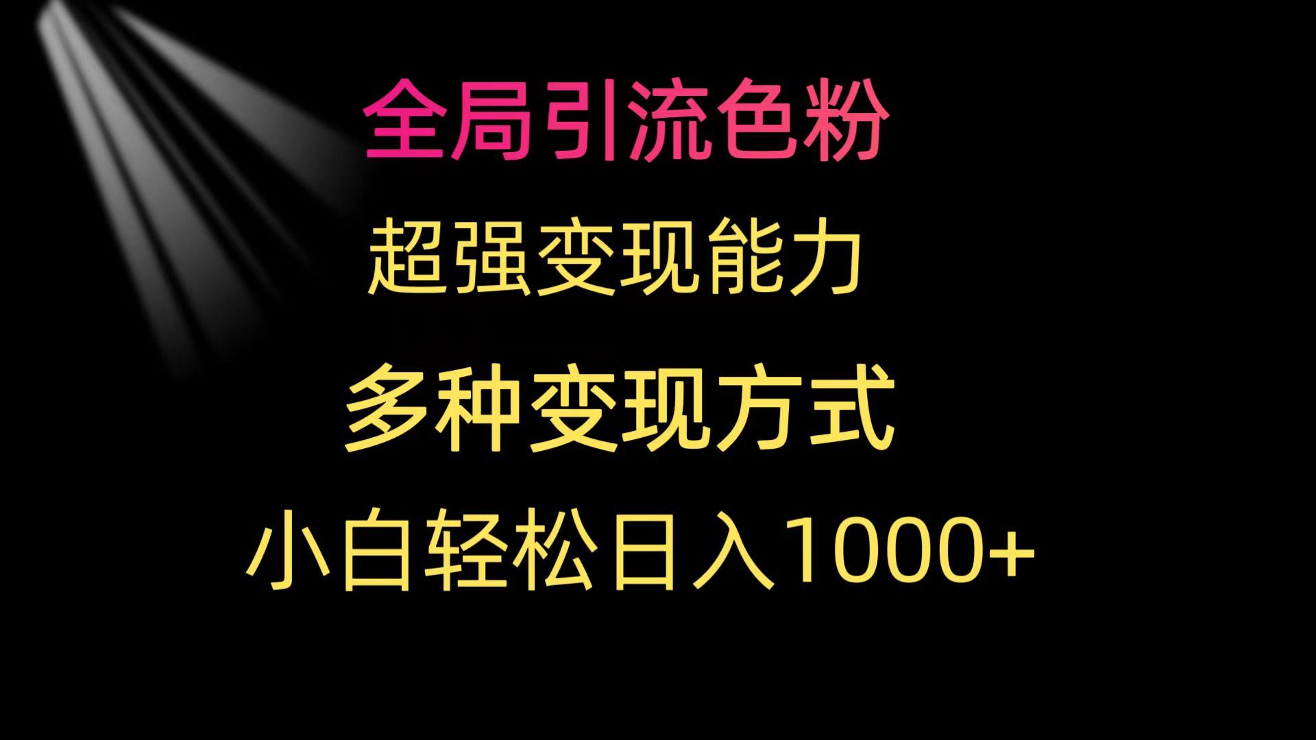 (9680期)全局引流色粉 超强变现能力 多种变现方式 小白轻松日入1000+-昀创网