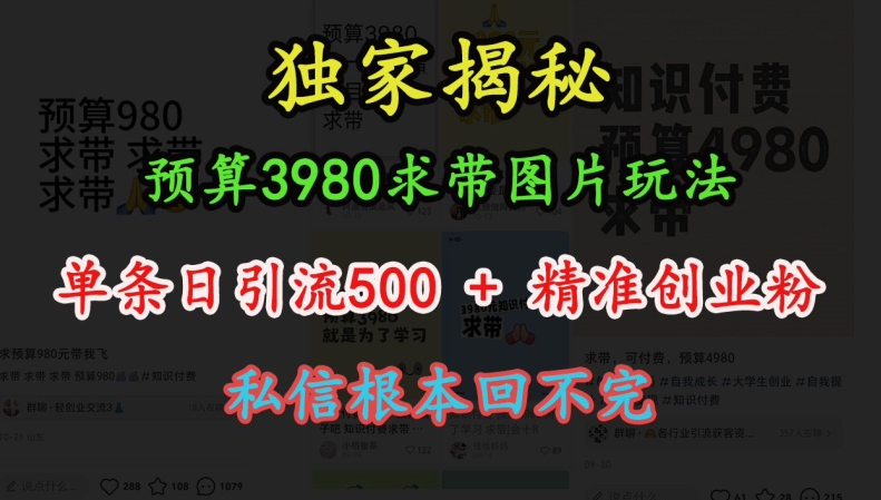 预算3980求带 图片玩法，单条日引流500+精准创业粉，私信根本回不完-昀创网