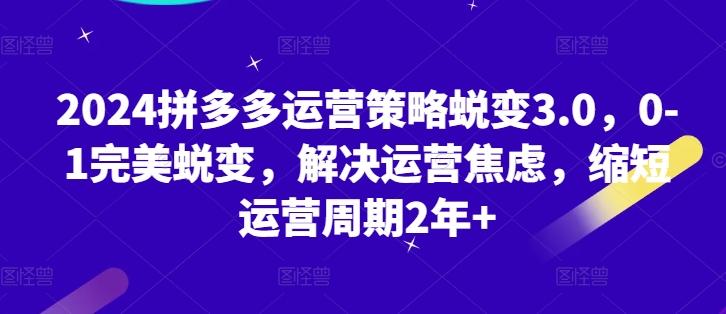 2024拼多多运营策略蜕变3.0，0-1完美蜕变，解决运营焦虑，缩短运营周期2年+-昀创网