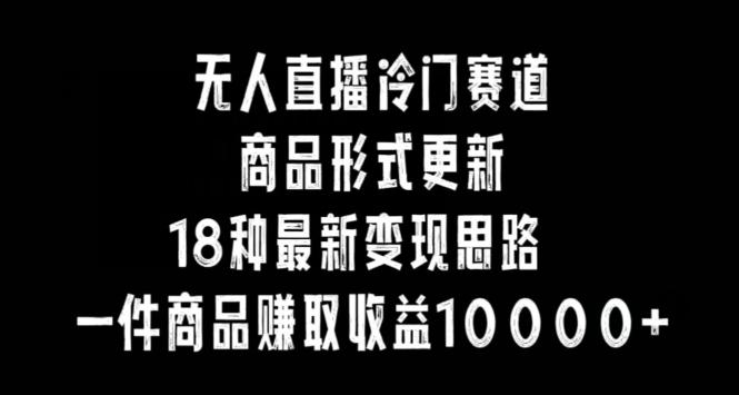 无人直播冷门赛道，商品形式更新，18种变现思路，一件商品赚取收益10000+【揭秘】-昀创网