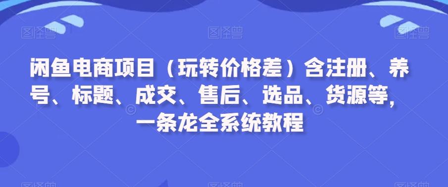 闲鱼电商项目(玩转价格差)含注册、养号、标题、成交、售后、选品、货源等，一条龙全系统教程-昀创网