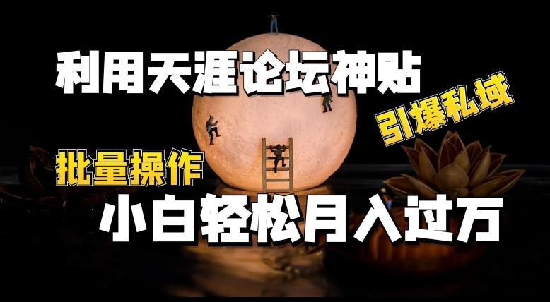 利用天涯论坛神贴，引爆私域，批量操作，小白轻松月入过w【揭秘】-昀创网