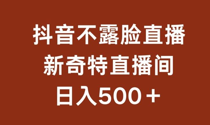 不露脸挂机直播，新奇特直播间，日入500+【揭秘】-昀创网