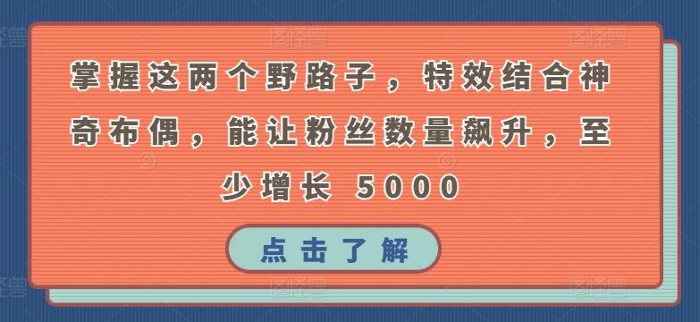 掌握这两个野路子，特效结合神奇布偶，能让粉丝数量飙升，至少增长 5000【揭秘】-昀创网