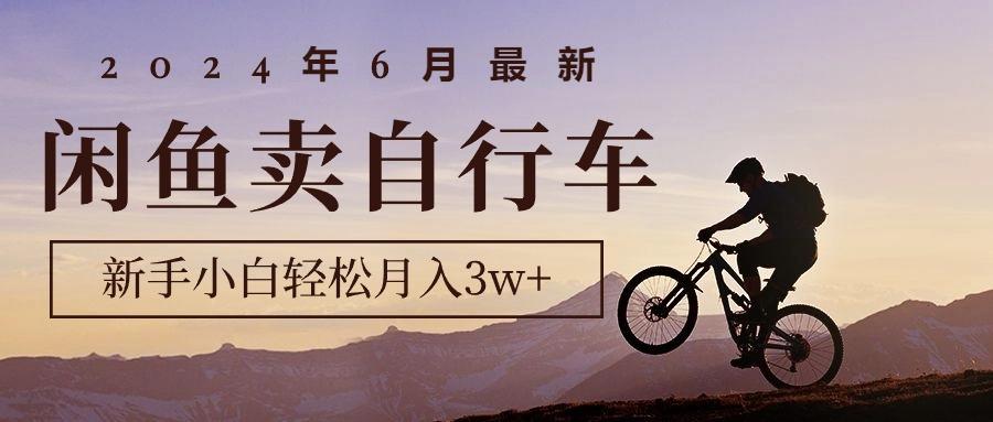 2024年6月最新闲鱼卖自行车，新手小白轻松月入3w+项目-昀创网