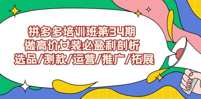 (9333期)拼多多培训班第34期：做高价女装必盈利剖析  选品/测款/运营/推广/拓展-昀创网