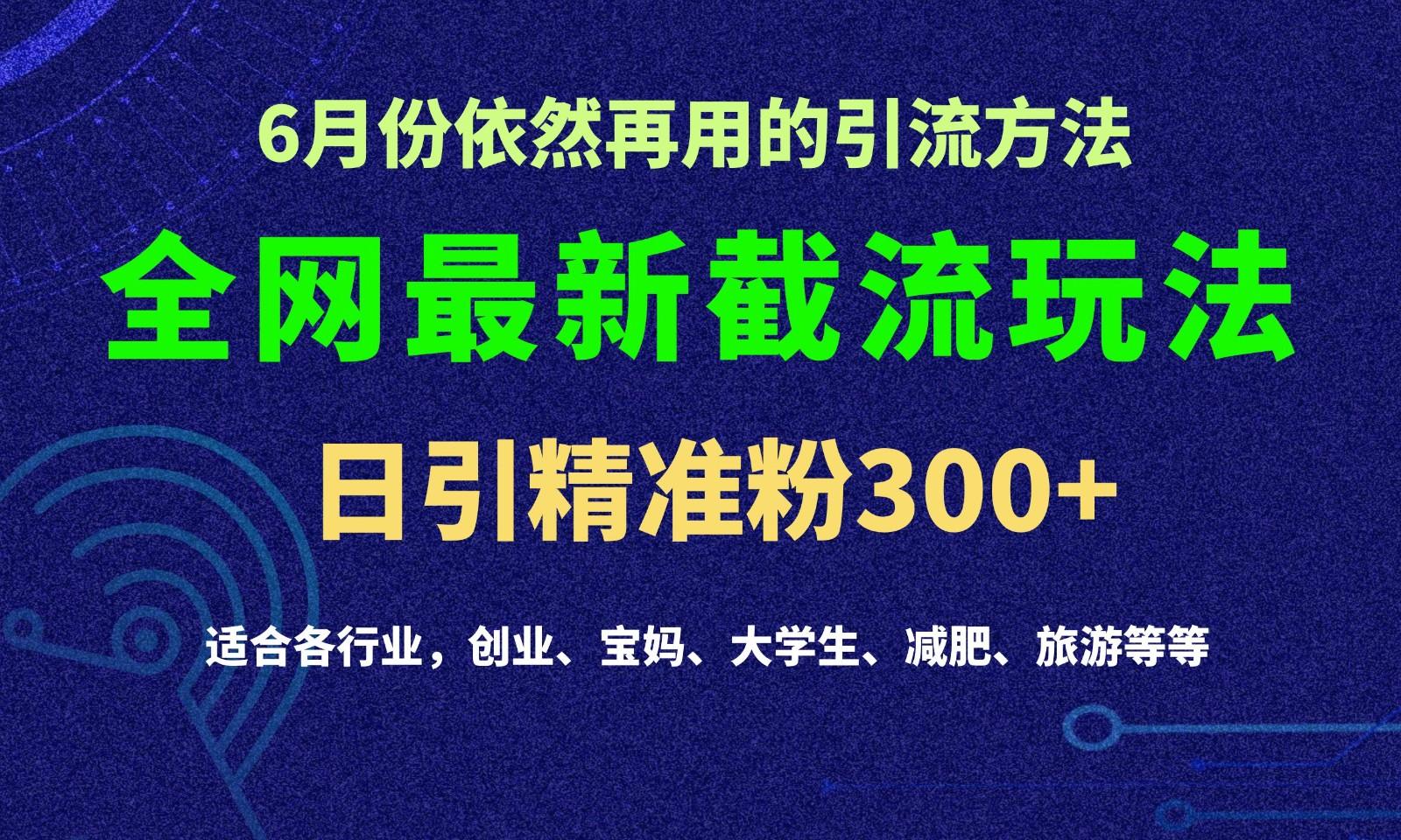 2024全网最新截留玩法，每日引流突破300+-昀创网