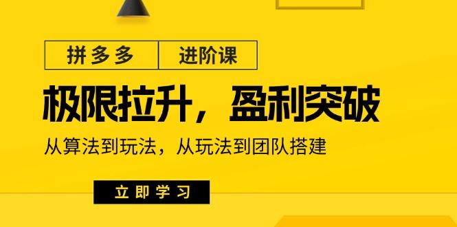 拼多多·进阶课：极限拉升/盈利突破：从算法到玩法 从玩法到团队搭建-18节-昀创网