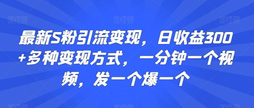 最新S粉引流变现，日收益300+多种变现方式，一分钟一个视频，发一个爆一个【揭秘】-昀创网