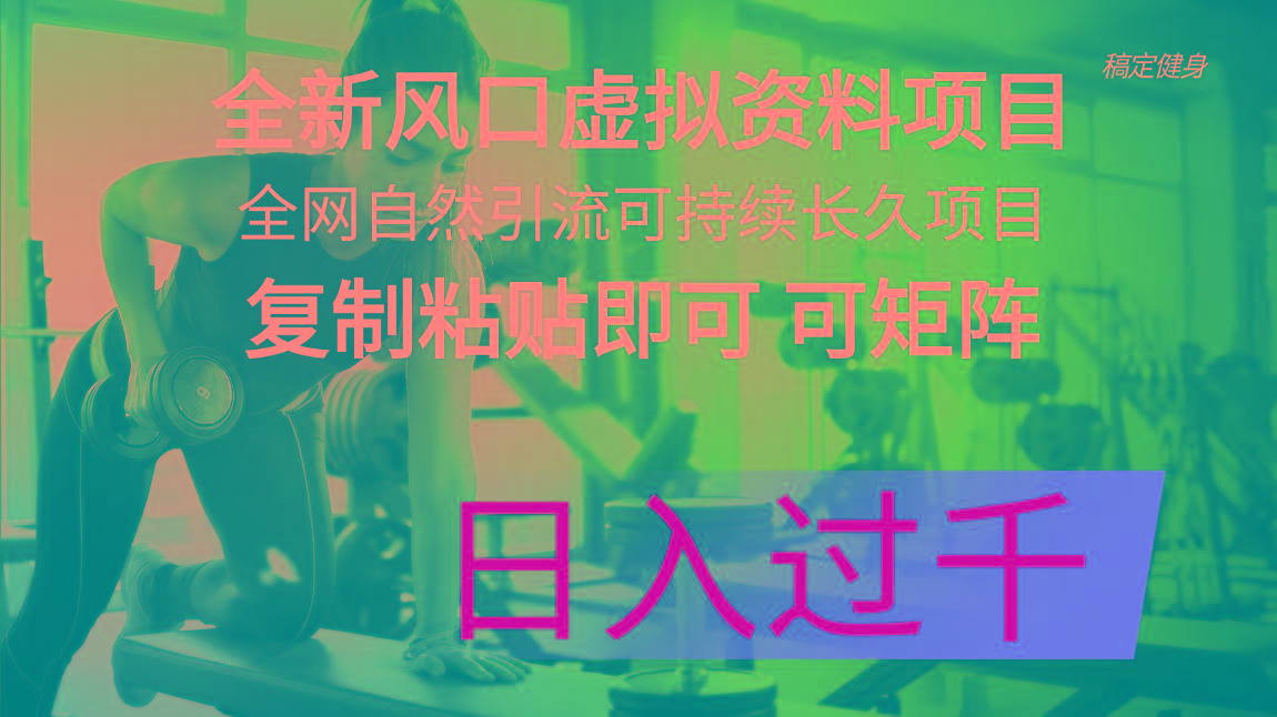 全新风口虚拟资料项目 全网自然引流可持续长久项目 复制粘贴即可可矩阵…-昀创网