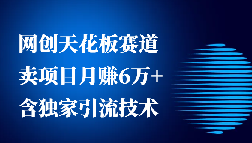 网创天花板赛道，卖项目月赚6万+，含独家引流技术(共26节课)-昀创网