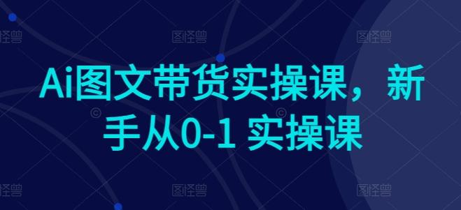 Ai图文带货实操课，新手从0-1 实操课-昀创网