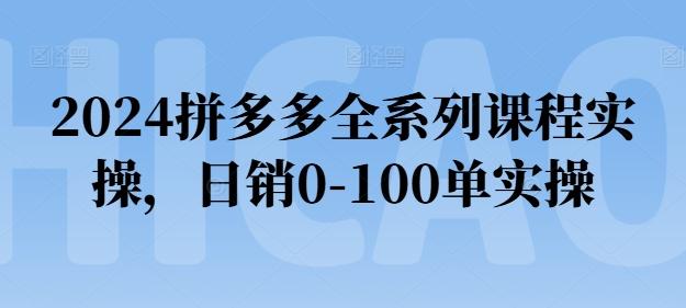 2024拼多多全系列课程实操，日销0-100单实操【必看】-昀创网