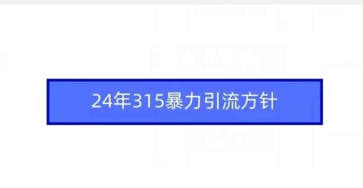 24年315暴力引流方针-昀创网