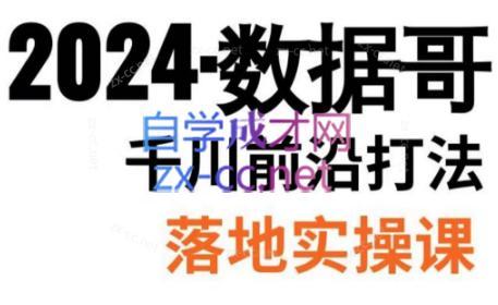 数据哥·2024年千川前沿打法落地实操课-昀创网