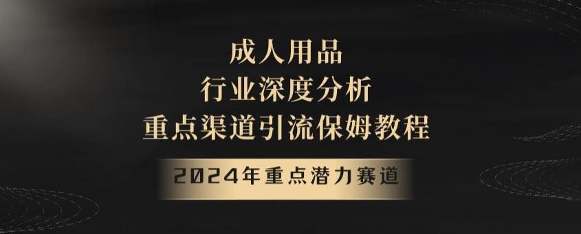 2024年重点潜力赛道，成人用品行业深度分析，重点渠道引流保姆教程【揭秘】-昀创网