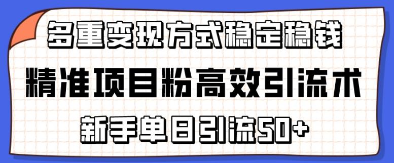 精准项目粉高效引流术，新手单日引流50+，多重变现方式稳定赚钱【揭秘】-昀创网