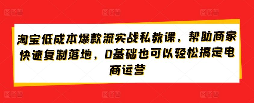 淘宝低成本爆款流实战私教课，帮助商家快速复制落地，0基础也可以轻松搞定电商运营-昀创网