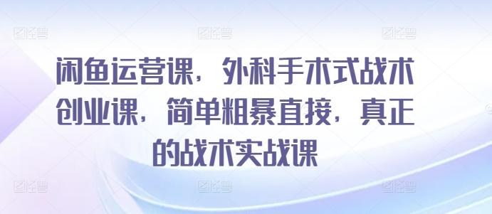 闲鱼运营课，外科手术式战术创业课，简单粗暴直接，真正的战术实战课-昀创网