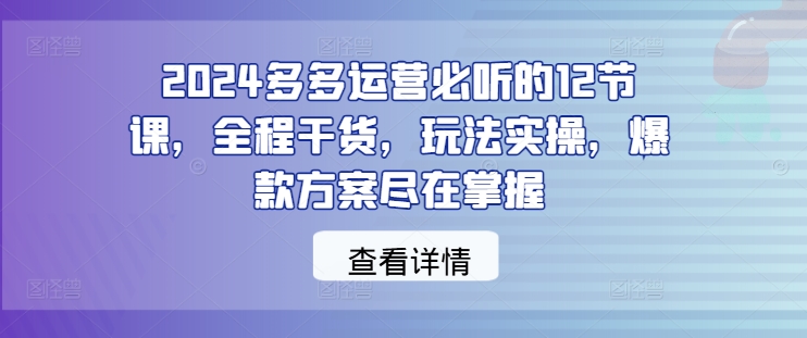 2024多多运营必听的12节课，全程干货，玩法实操，爆款方案尽在掌握-昀创网